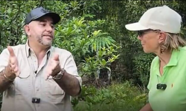 Jefe paramilitar desmiente a Salud Hernández y afirma que apoyó a De La Espriella, no a Cepeda