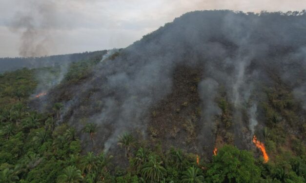 Gobierno pretende entregar minerales críticos tras el desastre ambiental en el Tolima